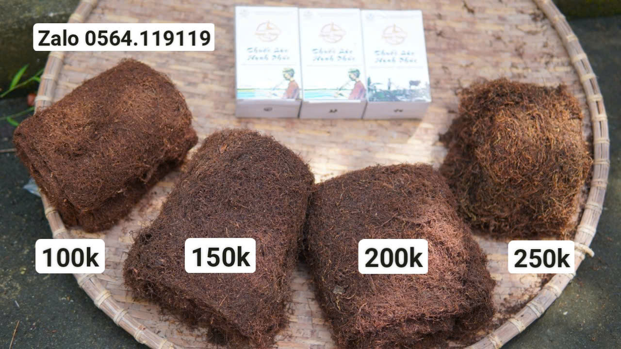 thuốc lào thanh hóa