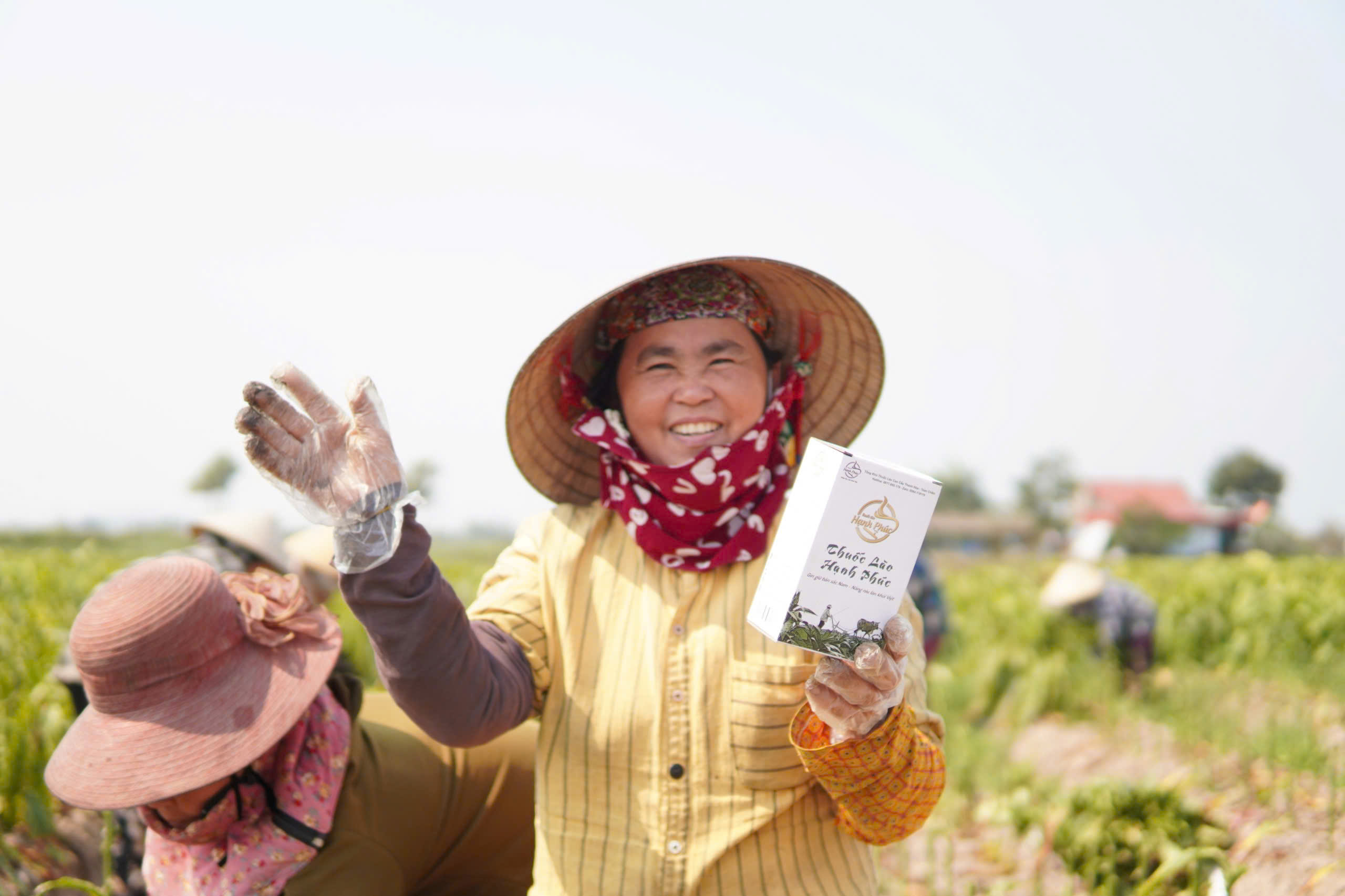 thuốc lào thanh hóa