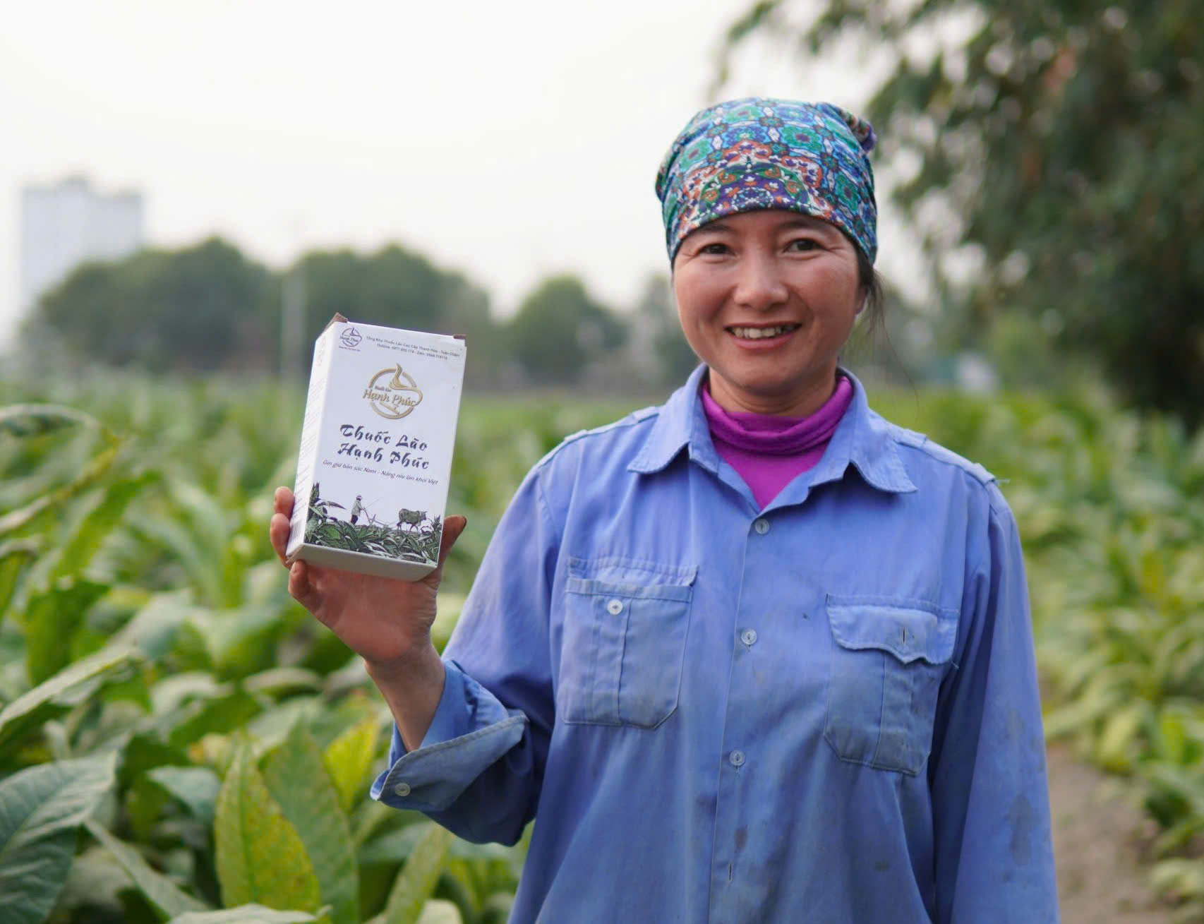 thuốc lào thanh hóa