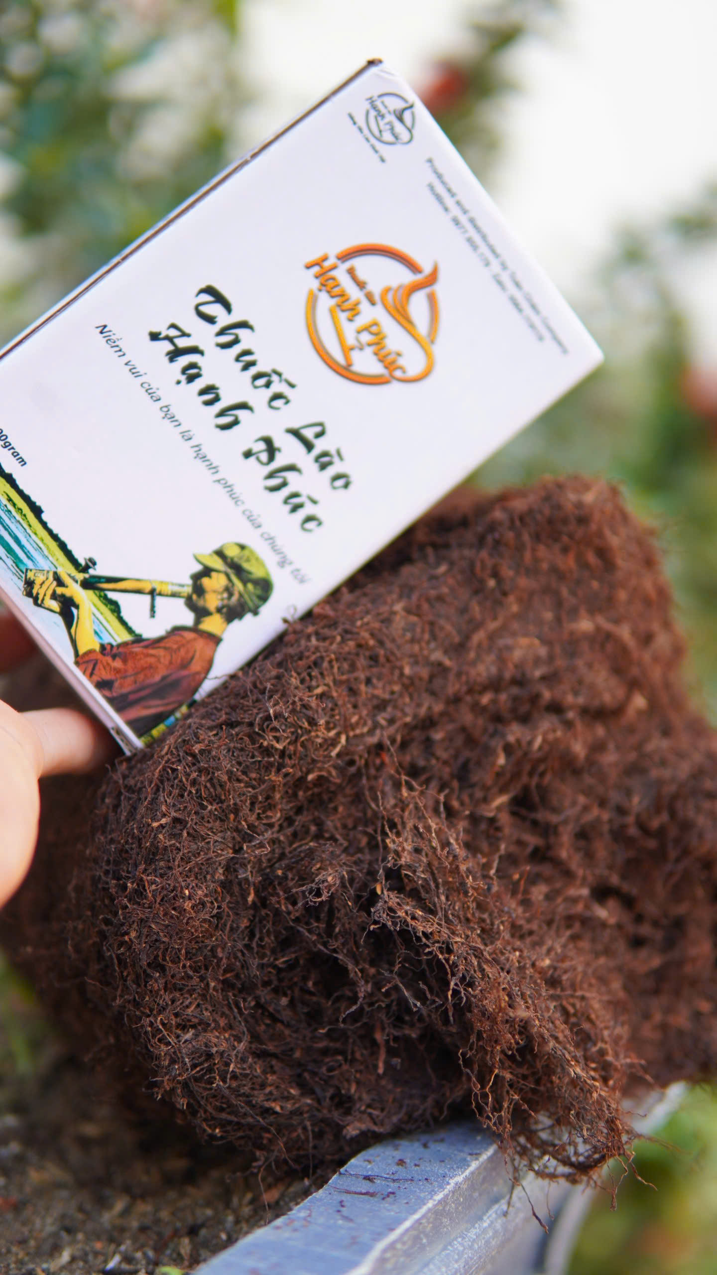 thuốc lào thanh hóa