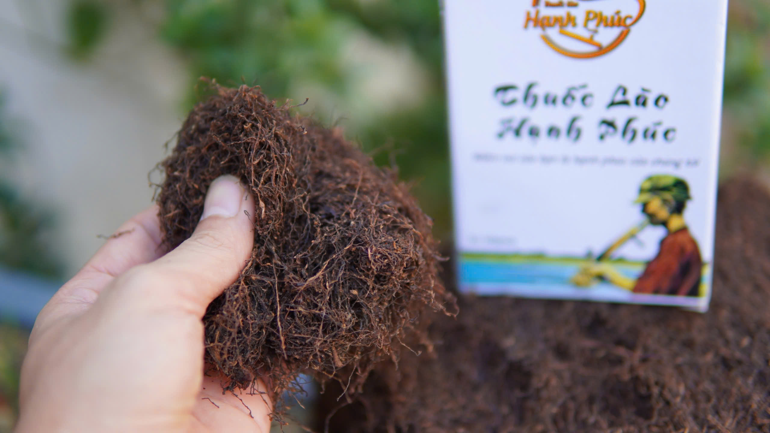 thuốc lào thanh hóa