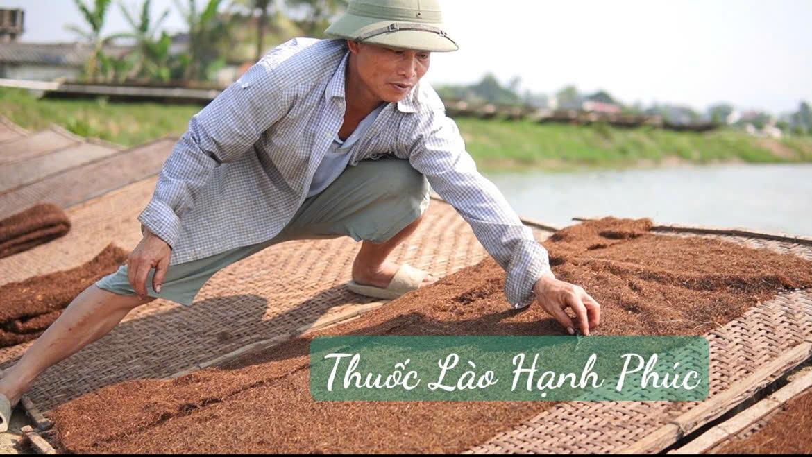 thuốc lào thanh hóa