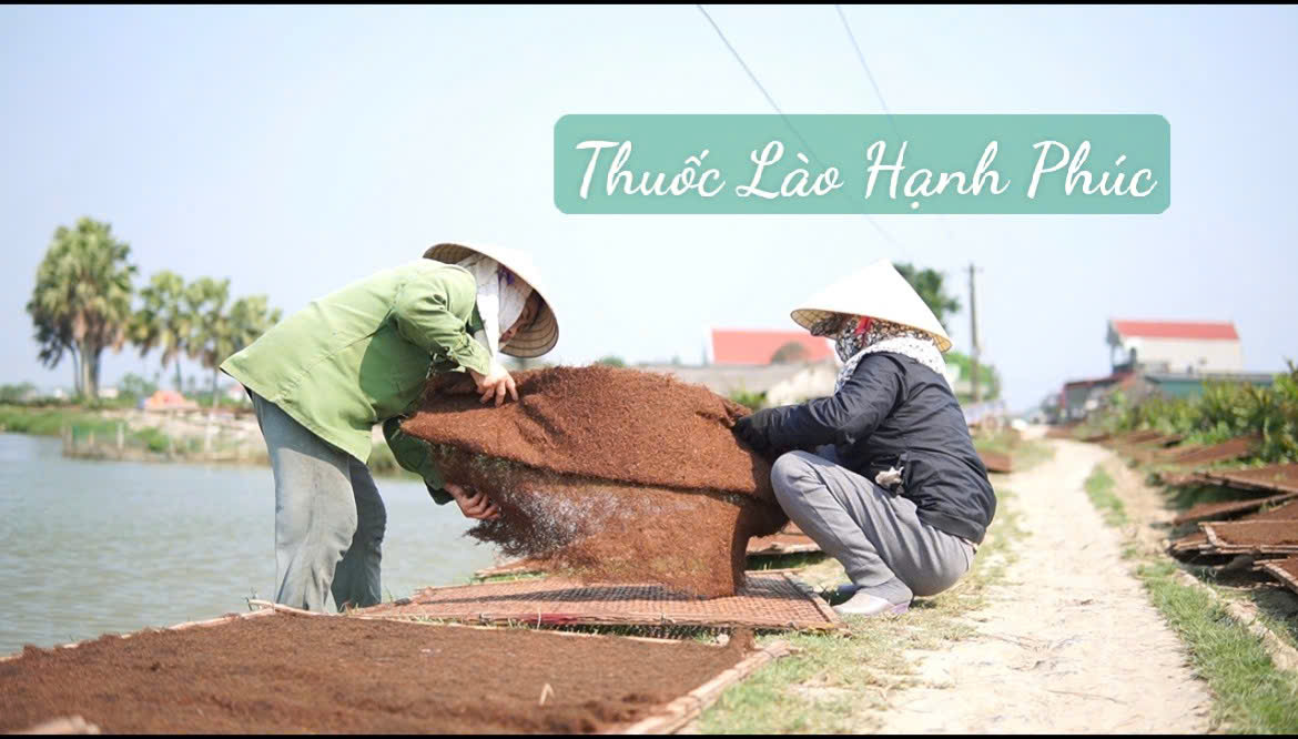 thuốc lào thanh hóa ngon