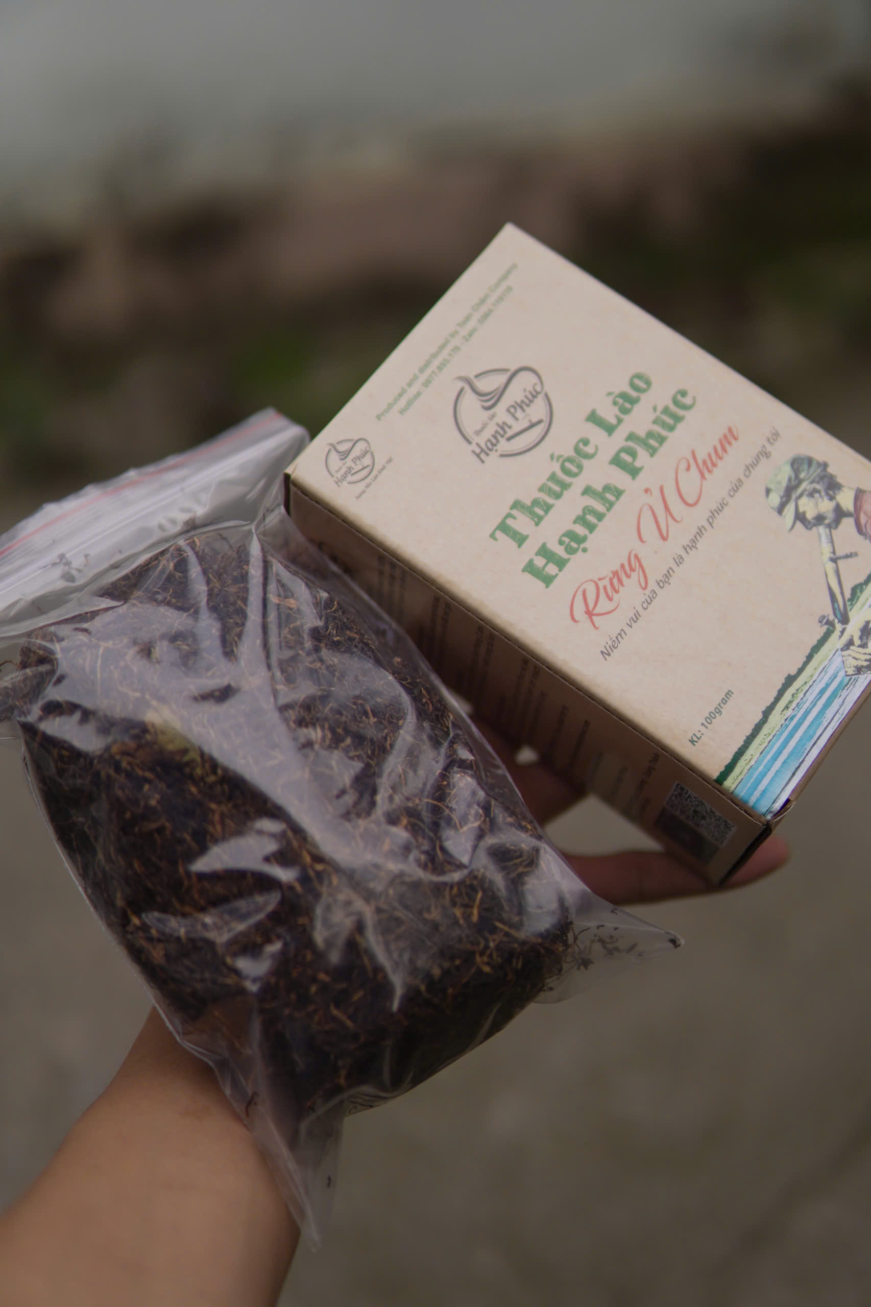 thuốc lào gò vấp