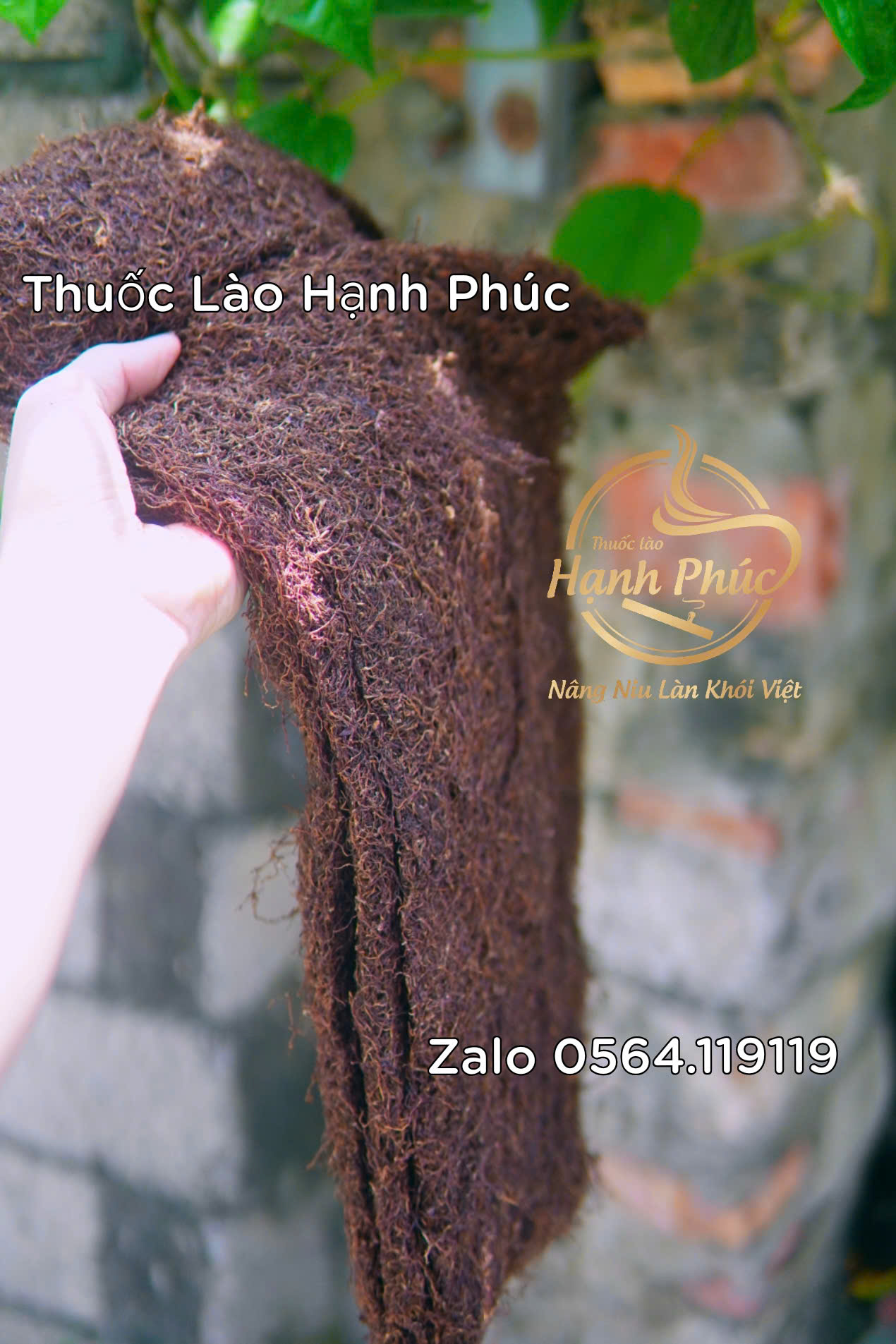 z7839852196100_6ae87fce9445c730864263e79596bfef thuốc lào xịn