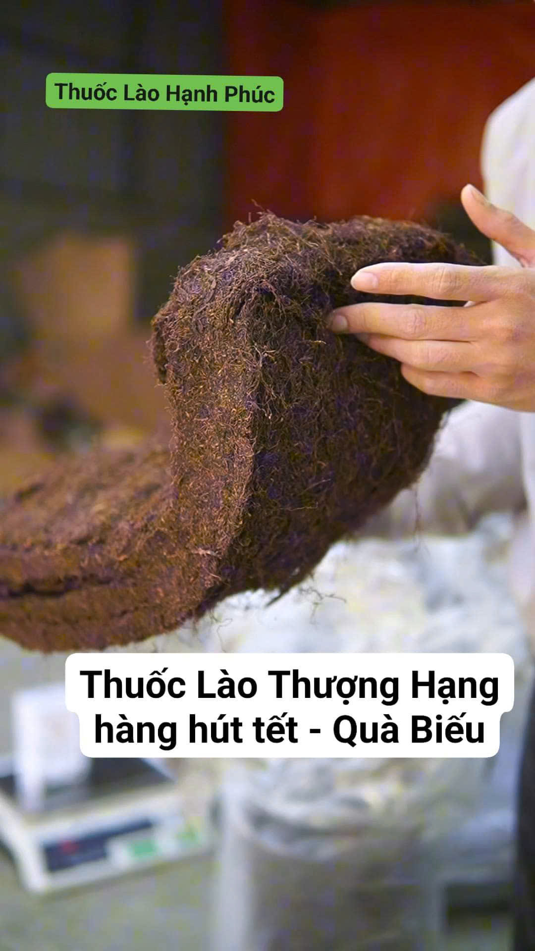 thuốc lào thanh hóa đặc biệt