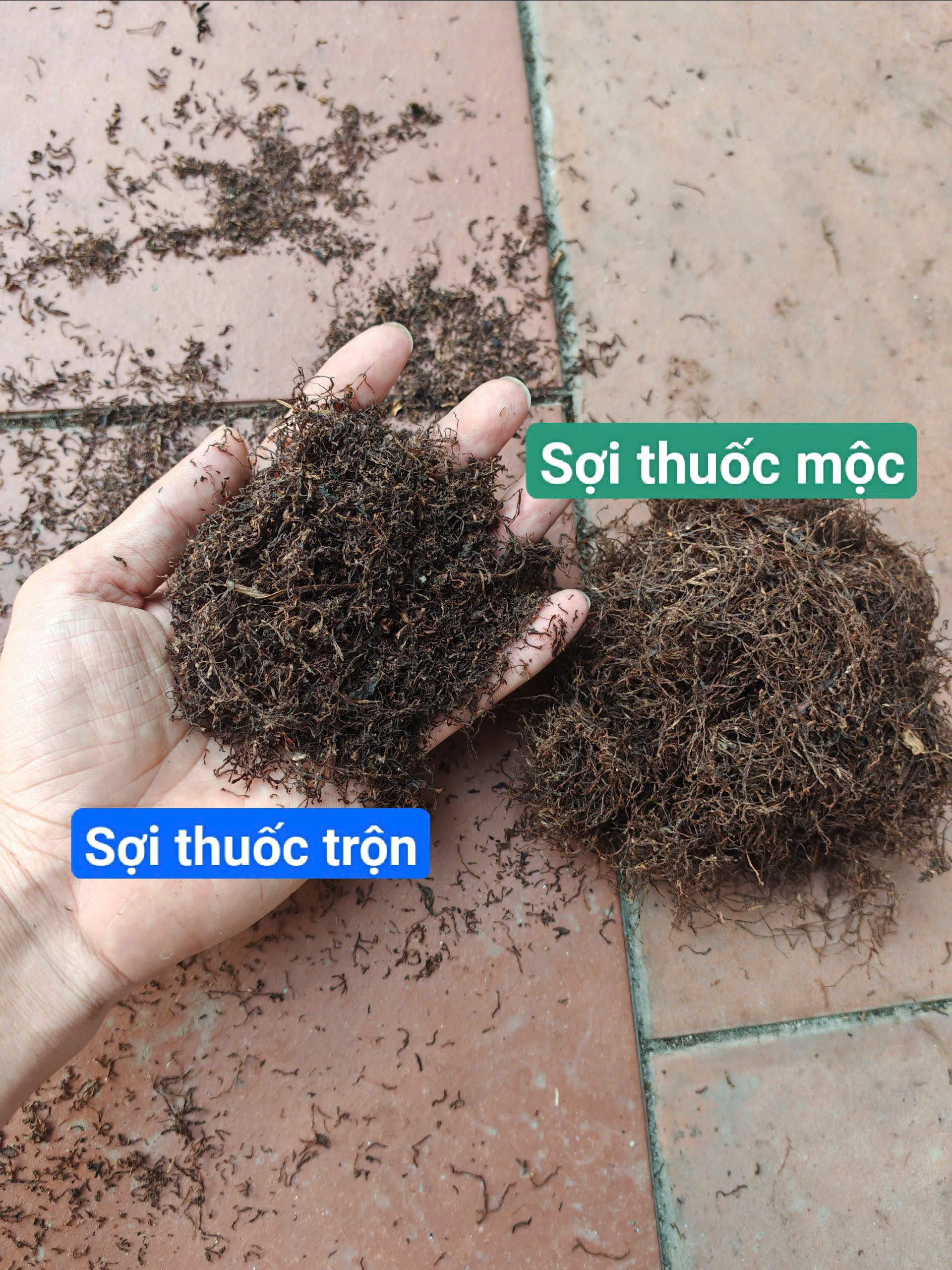 cách phân biệt thuốc lào thanh hóa xịn chuẩn